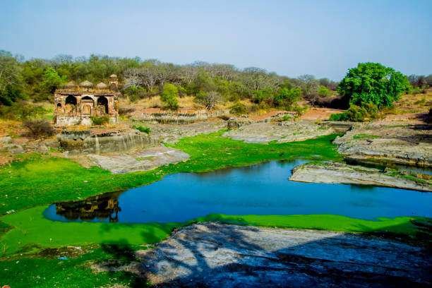 Golden Triangle with Ranthambore Tour Package